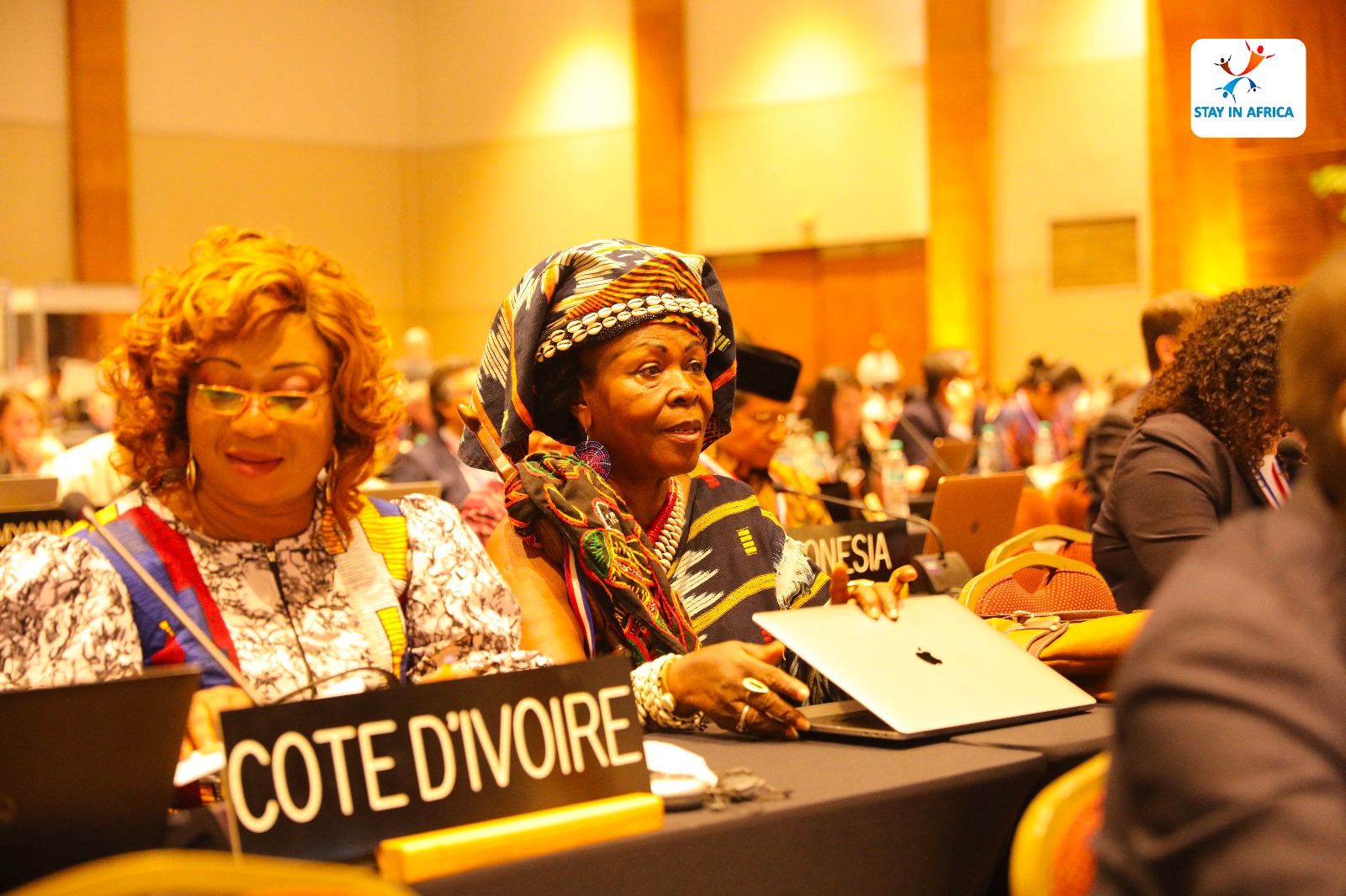 session du comité intergouvernemental l'UNESCO au Paraguay
